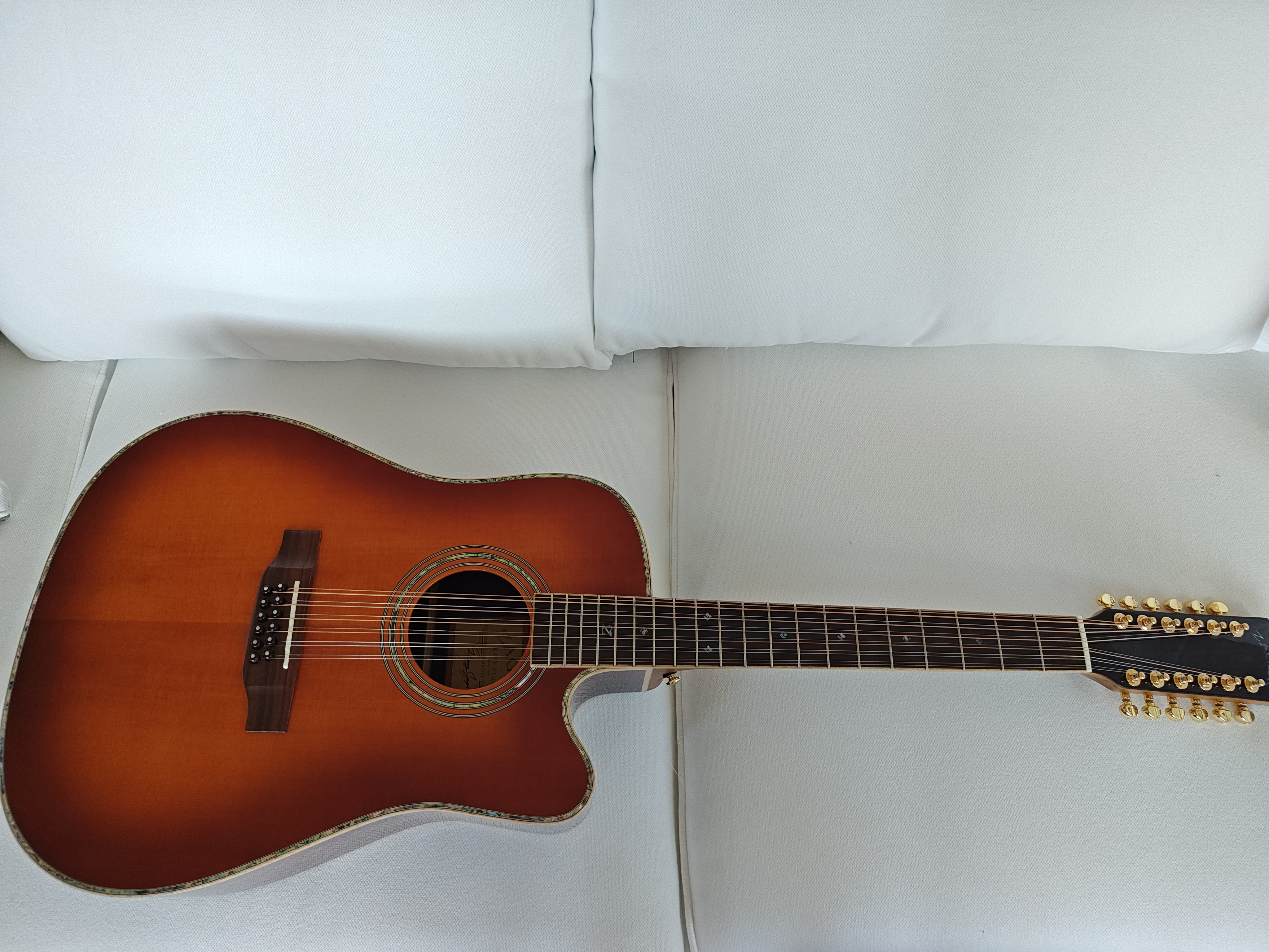 My Zager 12 String