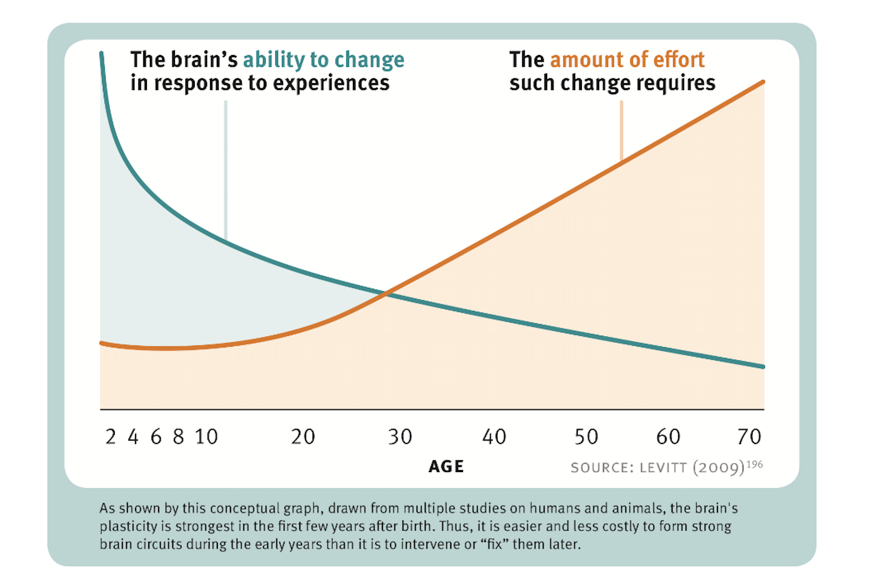 Brain Plasticity