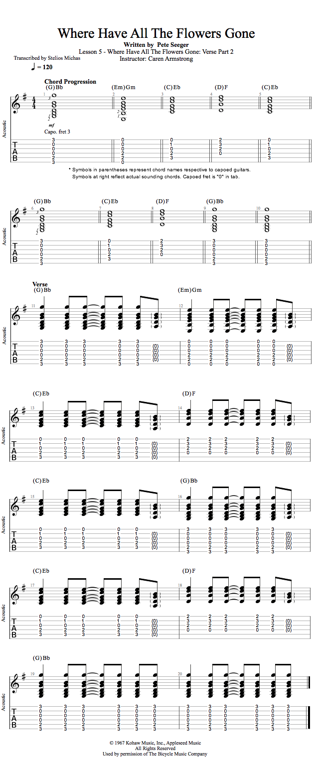 Guitar Lessons Where Have All The Flowers Gone Verse Part 2